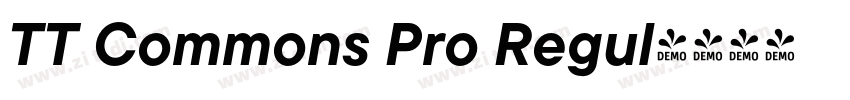 TT Commons Pro Regul字体转换 TT Commons Pro Regul字体转换